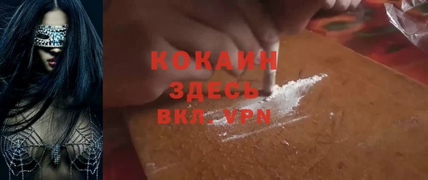 mdpv Вяземский